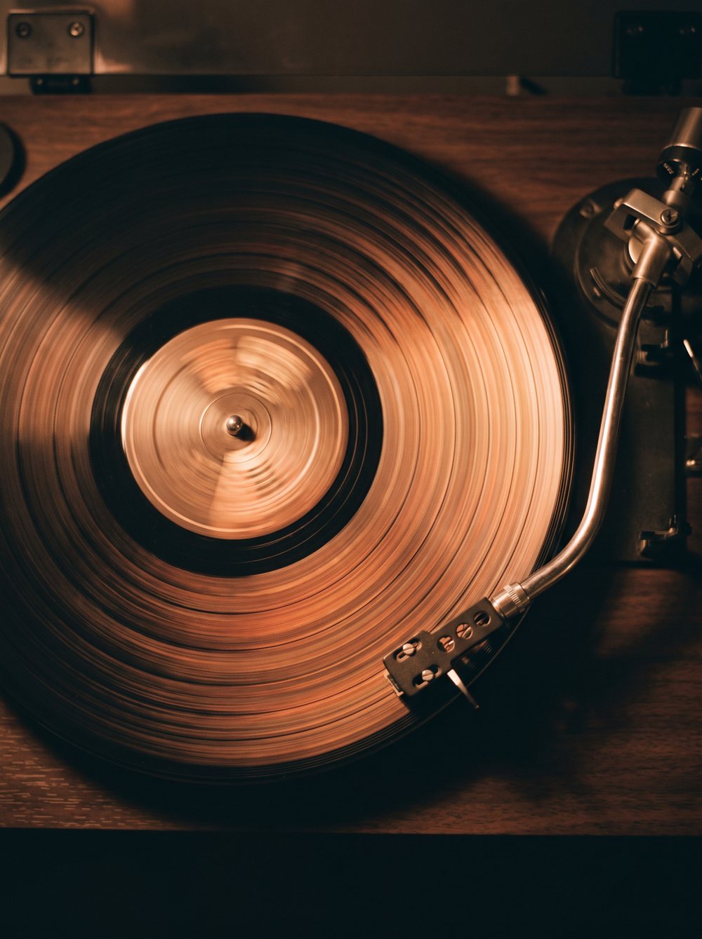 Stilbon going through records in a record shop